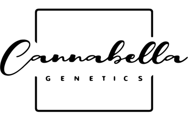 Cannabella Genetics Logo